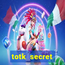 totk secret treasure under the great fish